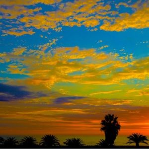 Meet your Posher, Hayley